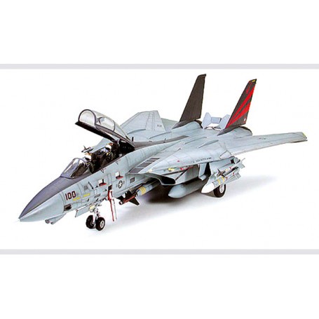 Grumman F-14A Tomcat Black Knights′ . Updated kit including new weaponry 